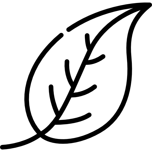 hoja